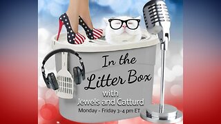 Do-nothing Republicans - In the Litter Box w/ Jewels & Catturd - Ep. 384 - 8/4/2023